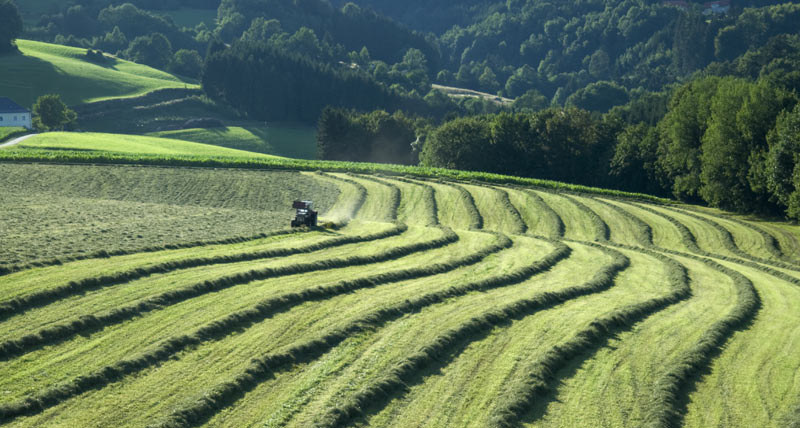 Innovative Solutions - Agriculture